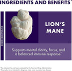Host Defense Mushrooms Lion's Mane - Supplement Capsules for Brain Health Support - Mushroom Support for Focus & Memory Function - Immune & Nervous System Supplement - 60 Capsules