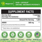 NMNH (Dihydronicotinamide Mononucleotide), NMN Supplement Alternative 500mg per Serving NAD NMNH Supplements for Women to Boost NAD+ Levels As We Age, Anti Aging, Energy, Focus, Non-GMO, 240 Count