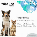 ThorneVET Liver Support – Liver Support for Small Animals: Dogs & Cats, 90 Soft Chews