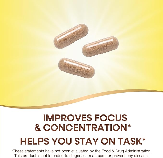 Nature’s Way Sustained Focus, Improved Focus & Concentration*, with Clinically Studied Neumentix Spearmint Extract, L-Theanine, 60 Capsules (Packaging May Vary)