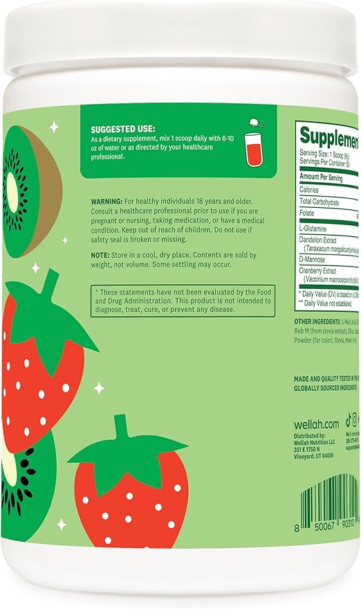 Wellah L-Glutamine Powder Strawberry Kiwi (50 Servings) - 5g L-Glutamine Per Serving, Sweetened with Stevia