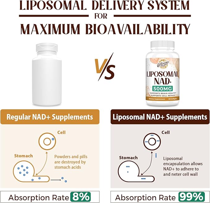 Liposomal NAD+ 500 MG Supplement, True NAD Plus Supplement, Superior Absorption, Boost NAD+ More Efficient Than Nicotinamide Riboside for Cellular Energy, Healthy Aging, 60 Serving
