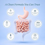 Vitamin Bounty Pro-50 - Probiotics for Women & Men - 50 Billion CFU - 13 Strains Probiotic + Prebiotic - Probiotics for Digestive Health - Delayed Release Capsules - 60 Count