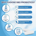 NATURE TARGET Probiotics for Women & Men, 60 Billion CFU, Prebiotics and Probiotic for Gut Health - SBO Probiotics Supports Digestive, Constipation, Diarrhea, Gas & Bloating, 90 Veggie Capsules