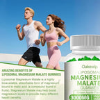 2 Pack Liposomal 3000mg Magnesium Malate Gummies Supplement,Complex Creatine Monohydrate,Folate, Active B12 & D3, L-Theanine & CoQ10, for Stress Relief,Methylation, Energy, Muscle & Calm