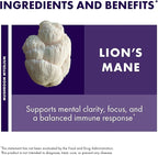 Host Defense Lion's Mane Powder - Brain Health Support Supplement - Mushroom Supplement to Support Focus & Memory Function - Immune & Nervous System Support Supplement - 3.5 oz (66 Servings)*