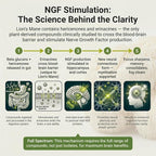 Lion’s Mane Mushroom Supplement 1000mg - Dual Extract for Focus Memory & Mental Clarity - High Potency Nootropic Brain Supplement with 20% Beta-Glucans - Fruiting Body & Mycelium - 60 Caps