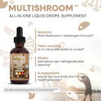 Mushroom Supplement Liquid Drops with Lions Mane Turkey Tail Cordyceps Reishi Chaga Shitake Maitake Tremella Oyster Mushrooms Poria Supplement and Enokitake Mushrooms Complex Blend By Clean Nutra