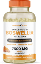 Boswellia Serrata Extract Joint Support Supplement by Powered by Plants – 65% High Potency Boswellic Acids with BioPerine – Supports Immunity, Mobility & Flexibility – 120 Vegan Capsules