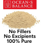 Ocean’s Balance Clean – Organic Bladderwrack Powder (Fucus vesiculosus) from the Pristine Maine Coast | Vegan • Lab‑Tested Purity • Skin & Digestive Wellness 16 Oz