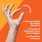 Garden of Life Vitamin D3 5000 IU, Raw Whole Food Supplements with Chlorella, Fruit, Veggies & Probiotics for Bone & Immune Health, 60 Vegetarian Capsules (Pack of 6)