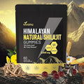 VivoNu Shilajit* Gummies,Pure Himalayan* micronutrient Supplement, Himalayan Premium Ingredient with Shilajit, Ashwagandha, Gokshura, Fulvic Acid & 85+ Trace Minerals I for Men & Women (3000MG/1 Bag)