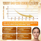 VivoNu 15-in-1 Liposomal NMN Supplement, 2000mg per* Serving* (3 Bottles | 360 Capsules)