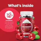 Phytoral Extra Strength Cranberry Supplement Gummies for Women - Cranberry Gummies for Kidney and Bladder Support - Herbal Supplements for Urinary Tract Health for Women - 60 Count (2 Pack)