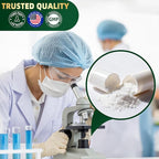 NMNH Supplement 2000mg, Liposomal Nicotinamide Mononucleotide Alternative for NAD+ and Healthy Aging - with Resveratrol, Urolithin A, TMG, CoQ10 - 120 Capsules (β-Dihydronicotinamide Mononucleotide)