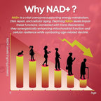 NAD+ Gummies, 1200mg Liposomal NAD Supplement for Women & Men with Trans-Resveratrol & Black Pepper Extract Anti-Aging Supplement, Brain & Cellular Mitochondrial Health - 60 Gummies Cherry