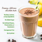 Orgain Organic Vegan Protein Powder, Creamy Chocolate Fudge - 21g Plant Protein, 6g Prebiotic Fiber, Low Carb, No Lactose Ingredients, No Added Sugar, Non-GMO, 10 Single Serve Individual Packets