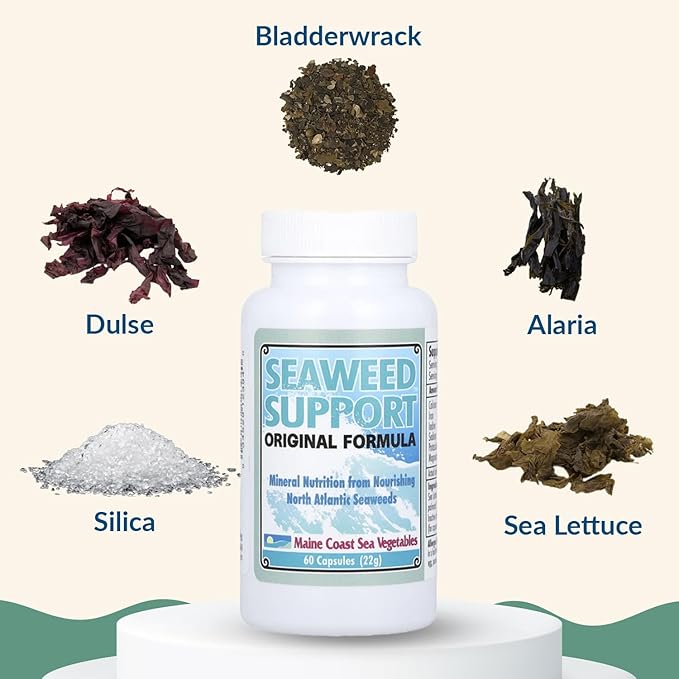 Maine Coast Sea Vegetables Seaweed Support Original Formula | Natural Source of Iodine from Seaweed | Daily Use Iodine Supplement | Organic Alaria, Sea Lettuce, Dulse & Bladderwrack blend | 60 Capsule