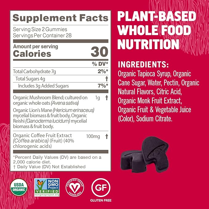 OM MUSHROOM SUPERFOOD Brain Fuel+ Gummies – USA Grown Organic Lion’s Mane – Supports Memory, Focus & Cognitive Function – Raspberry Flavor – 28 Servings, 56 Count.