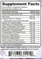 Uric-Out Ultimate Uric Acid Support - 11 Powerful Extracts - Celery Seed, Tart Cherry Concentrate, Chanca Piedra - Uric Acid Cleanse 60 Caps