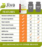 Jiva Botanicals Concentrated Cranberry Supplement - 650 mg Cranberry Powder Extract Pills for Women - High Potency for Normal Urinary Tract Health - 60 Capsules (Pack of 1)