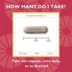 Celebrate Vitamins CelebrateONE 45, 45mg Iron - Once Daily Bariatric Multivitamin, Essential Vitamins & Minerals - Gastric Bypass & Sleeve Gastrectomy Supplement (30 Capsules)