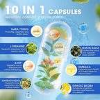 GABA Supplements 750mg with L Theanine, 5HTP, Ashwagandha, Lemon Balm, Ginkgo Biloba, Omega-3, 10 in 1 GABA Calm Capsules for Sleep, Relaxation, Focus, Mood Support, Cortisol Balance - 2 Pack