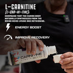 Cutler Nutrition Liquid L-Carnitine Fat Burner Supplement with Acetyl L-Carnitine & L-Carnitine Tartrate - Fat Burner Formula for Optimal Absorption, Energy & Muscle Support | Orange Flavor