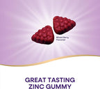 Nature's Way Zinc Gummies, Adult & Kids 9+ Immune Support Gummies*, 100% Daily Value per Serving, Mixed Berry Flavor, 120 Chews (Set of 2)