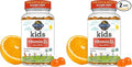Garden of Life Kids Organic Vitamin D3 Gummies with 800 IU (100% Daily Value) for Strong Bones,Teeth,Brain & Immunity – Non-GMO,No Gluten,Vegetarian,Sugar Free,Orange Flavor,60 Count(Pack of 2)