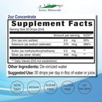 Eidon Ionic Minerals Immune Support Supplement Liquid Concentrate - Mineral Drops with Zinc, Selenium, Support & Maintain Immune System, Bioavailable, No Preservatives - 2 oz (Pack of 2)
