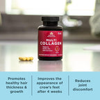 Ancient Nutrition Collagen Peptides Pills, Hydrolyzed Multi Collagen Supplement, Types I, II, II, V & X, Supports Healthy Skin and Nails, Gut Health and Joints, 90 Capsules