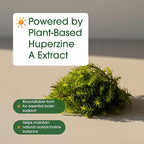 NatureBell Huperzine A 400mcg - 240 Capsules - Brain, Focus & Memory Support* - Plant-Based Nootropic Supplement - Non-GMO & Gluten-Free
