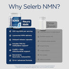 NMN Supplement Liposomal Neuro NMN with Resveratrol, TMG, Quercetin, CoQ10, Rhodiola, NAC, Astaxanthin & Magnesium NAD+ Precursor Supports Brain Cellular Energy & NAD+ Levels | 60 Delayed Release Caps