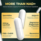 UPLIFE NAD+ Supplement 1,372mg – Liposomal NAD+ with CoQ10, Resveratrol, Spermidine, L-Theanine, Apigenin & PQQ – NMNH Alternative Booster Cellular Energy, Healthy Aging, Immune Health – 120 Capsules