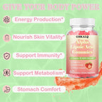 Alpha Lipoic Acid Gummies 1000Mg with Vitamin B1,B12&A,E,ALA Supplement,Provide Energy&Enhance Immunity,Liposomal Enhance Absorption,Sugar Free,Strawberry Flavor,60 Gummies