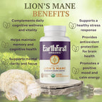 Lion’s Mane – Regenerative Organic Certified Mushroom Capsules for Focus, Memory & Nerve Support – Cognitive Clarity and Natural Energy – 90 Vegan Tablets