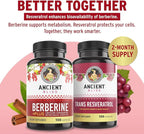 Ancient Bliss Berberine HCL 1200mg with Ceylon Cinnamon, Bitter Melon, and Green Tea Extract - 120 Capsules