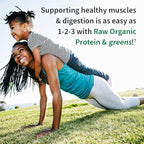 Garden of Life Raw Protein & Greens Vanilla Protein Powder – 20g Plant Based Greens Powder, Probiotics & Enzymes, Post-Workout Recovery, Vegan, Gluten-Free, Non-GMO, 20 Servings, (Pack of 6)