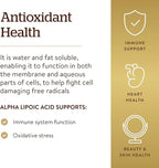 Solgar Alpha Lipoic Acid 200 mg, 50 Vegetable Capsules - Antioxidant Support - Helps to Recycle Glutathione, Vitamin C & E, CoQ-10 - Non-GMO, Vegan, Gluten Free, Dairy Free, Kosher - 50 Servings
