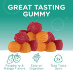 Zahler Chapter One Magnesium Gummies - Supports Calm for Kids - Chewable Magnesium Supplement Gummies to Support Muscle Function - Kosher, Dairy-Free & Gluten-Free - Raspberry & Mango, 60 Count