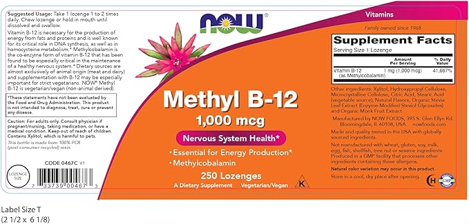 Now Supplements, Methyl B-12 (Methylcobalamin) 1,000 mcg, Nervous System Health*, 250 Lozenges