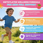 Kids Multivitamin Gummies with Omega-3 (Dha+Epa), Methylated B12 & Folate, B6, B2 & Elderberry, Vitamin D3, C, A, E, Zinc, Postbiotics, Choline | for Brain, Eye & Immune, Clean, Sugar Free, 60 Cts