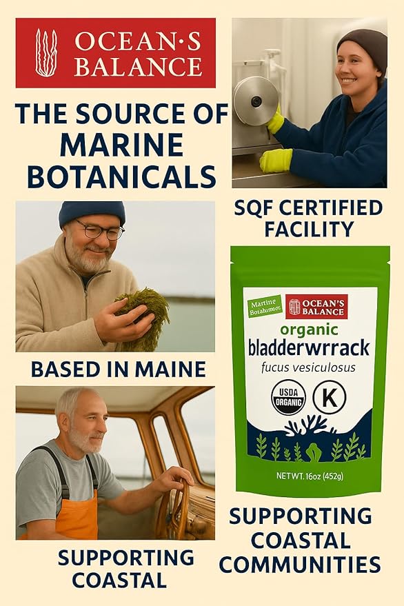 Ocean’s Balance Clean – Organic Bladderwrack Powder (Fucus vesiculosus) from the Pristine Maine Coast | Vegan • Lab‑Tested Purity • Skin & Digestive Wellness 16 Oz