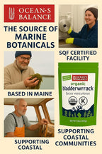 Ocean’s Balance Clean – Organic Bladderwrack Powder (Fucus vesiculosus) from the Pristine Maine Coast | Vegan • Lab‑Tested Purity • Skin & Digestive Wellness 16 Oz