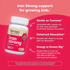 Renzo's Iron Supplements for Kids, Dissolvable Vegan Kids Iron Supplement with Vitamin C, Sugar-Free Melty Tabs, Orange Flavor, 90-Count