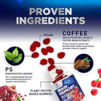 Brain Supplements for Memory & Focus Gummies - Brain Health Clarity with B6 B12 & Phosphatidylserine - Natural Nootropics Cognitive Concentration & Alertness Support Vitamins - 60 Vegan Gummies