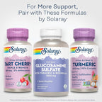 SOLARAY Turmeric Supplement 600mg - Turmeric Root with 95% Curcumin - Joint Support Supplement - Joint Health, Gallbladder and Liver Support, Non-GMO, Vegan, Gluten Free, 60-Day Guarantee, 30 Servings