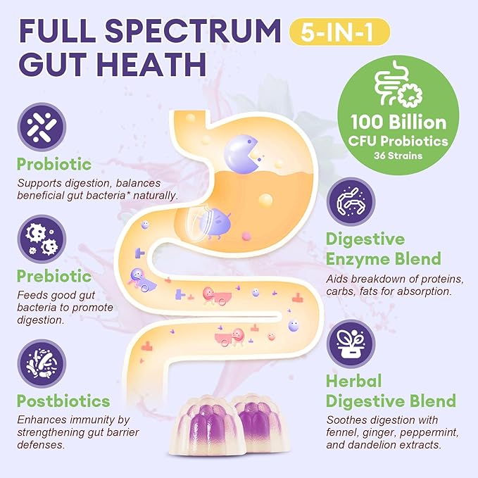 Sugar Free 5-in-1 Probiotic Prebiotic Postbiotic Gummy, 36 Strains Probiotics for Women Men with Digestive Enzymes, Peppermint, Complete Immune, Gut & Digestive Support, Vegan, 60 Ct, Grape Flavor