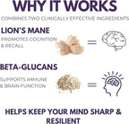Brain Gain Lion’s Mane Supplement - 1000 mg Organic Dual Extraction with 30% Beta-Glucans for Memory, Focus & Brain Health - 120 Vegan Capsules